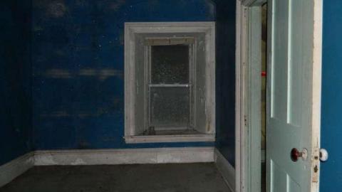 Frosty - DSCN7464.jpg