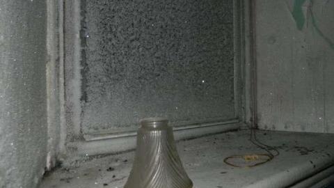 Frosty - DSCN7483.jpg