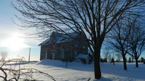 Frosty - DSCN6988.jpg