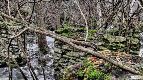 Photo from Ruins in Winter
