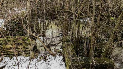 Ruins in Winter - 40-Years-After-the-Fire13.jpg