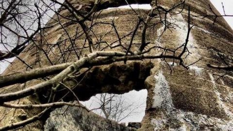 53 Years After the Fire photo 5