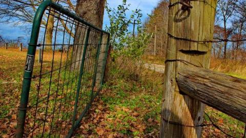 Take Me to the River - Riverside-Pioneer-Cemetery11.jpg