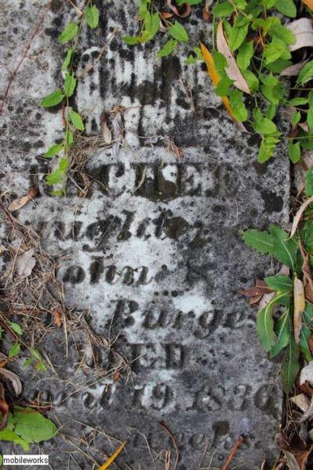 Riverside Pioneer Cemetery photo 5