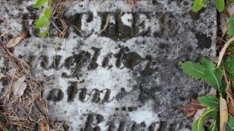 Riverside Pioneer Cemetery photo 5