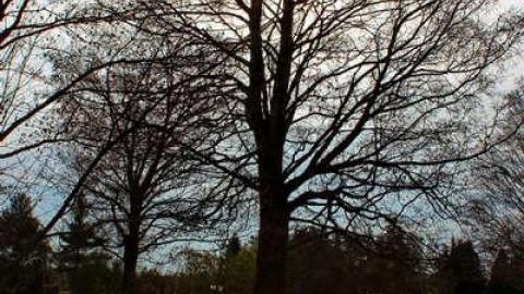 Take Me to the River - Riverside-Pioneer-Cemetery8.jpg