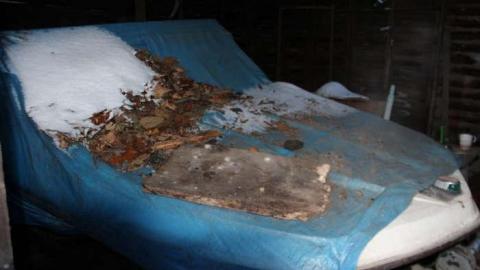 Beachside Houses - Anthes-Beach-Houses226.jpg