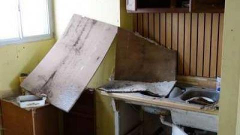 Photo from Jan 26/14