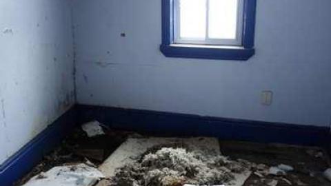 Photo from Jan 26/14