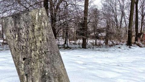 Winter 2013 - Fort-Erie-Coloured-Cemetery13.jpg