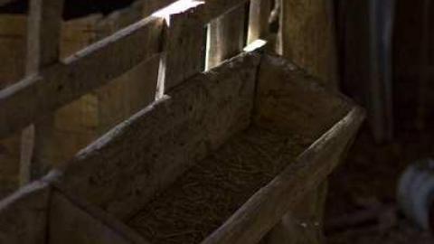 Photo from Norma Dunn's House