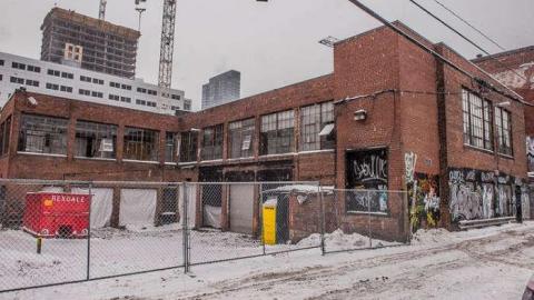 Fur the Rich - FUR-the-RICH-with-GREEN1.jpg