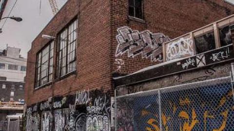 Fur the Rich - FUR-the-RICH-with-GREEN2.jpg