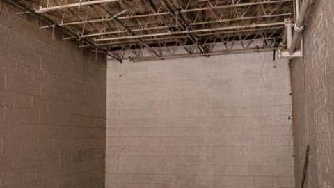 Fur the Rich - FUR-the-RICH-with-GREEN24.jpg