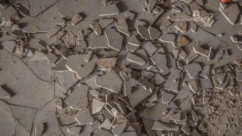 Fur the Rich - FUR-the-RICH-with-GREEN8.jpg