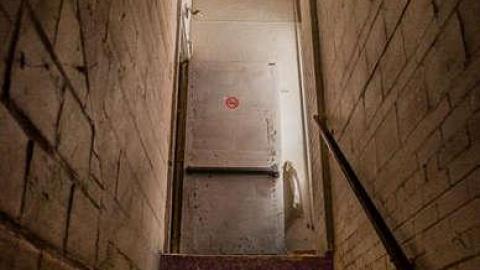 Fur the Rich - FUR-the-RICH-with-GREEN31.jpg