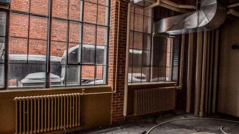 Fur the Rich - FUR-the-RICH-with-GREEN17.jpg