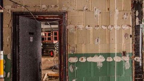 Fur the Rich - FUR-the-RICH-with-GREEN32.jpg