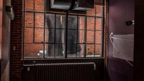 Fur the Rich - FUR-the-RICH-with-GREEN18.jpg