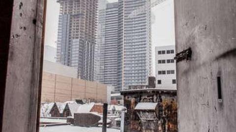 Fur the Rich - FUR-the-RICH-with-GREEN13.jpg