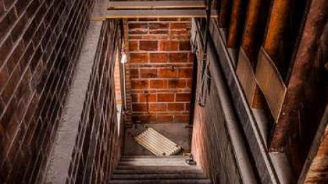 Fur the Rich - FUR-the-RICH-with-GREEN20.jpg