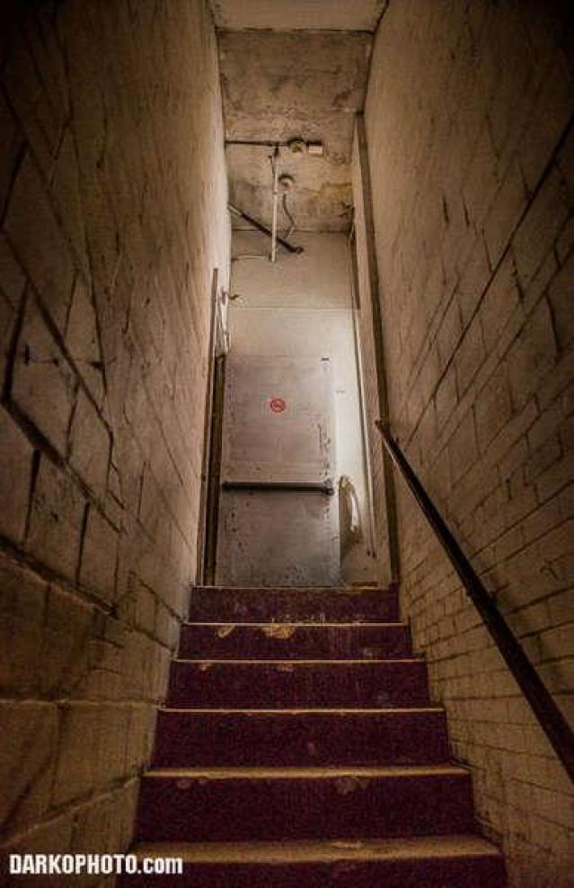 $FUR the RICH with GREEN$ photo 3