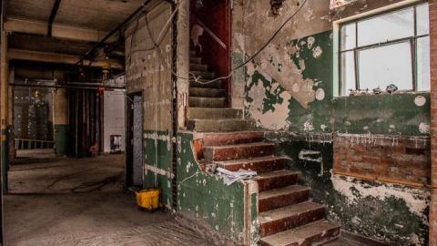 Fur the Rich - FUR-the-RICH-with-GREEN38.jpg