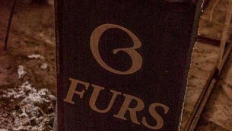 Fur the Rich - FUR-the-RICH-with-GREEN39.jpg