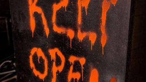 Fur the Rich - FUR-the-RICH-with-GREEN14.jpg