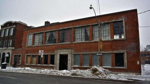 Rich - FUR-the-RICH-with-GREEN43.jpg