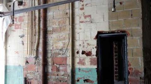 Feb 2014 - FUR-the-RICH-with-GREEN78.jpg