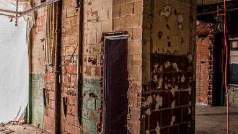 Feb 2014 - FUR-the-RICH-with-GREEN64.jpg