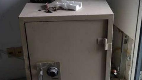 Feb 2014 - FUR-the-RICH-with-GREEN73.jpg