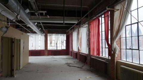 Feb 2014 - FUR-the-RICH-with-GREEN65.jpg