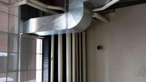 Feb 2014 - FUR-the-RICH-with-GREEN74.jpg