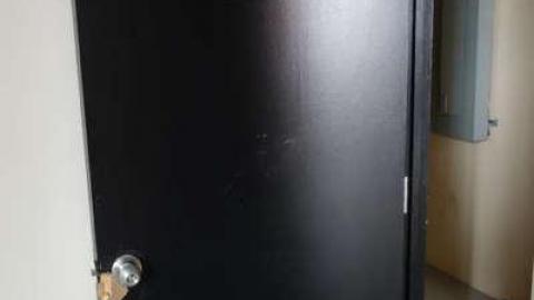 Feb 2014 - FUR-the-RICH-with-GREEN66.jpg