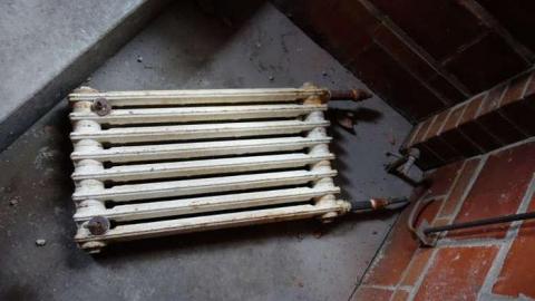 Feb 2014 - FUR-the-RICH-with-GREEN68.jpg