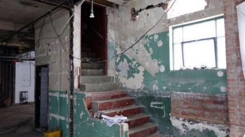 Feb 2014 - FUR-the-RICH-with-GREEN69.jpg