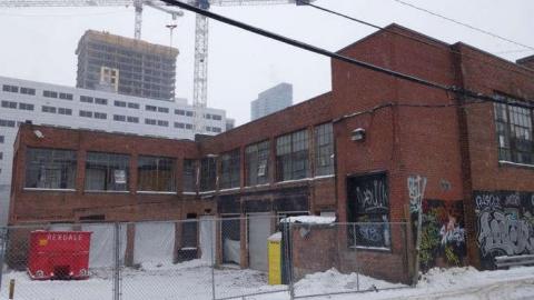 Feb 2014 - FUR-the-RICH-with-GREEN77.jpg