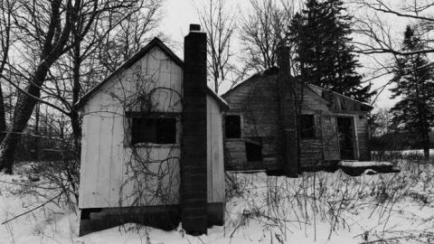 Beware of Dog photo 5