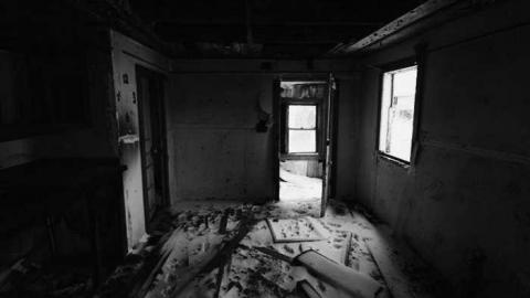 Feb. 2014 - Beware-of-Dog4.jpg