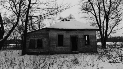 Beware of Dog photo 3