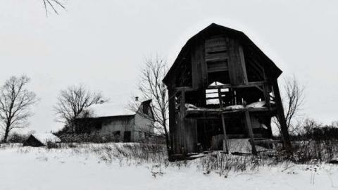 Feb. 2014 - Beware-of-Dog7.jpg