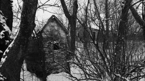 Feb. 2014 - Beware-of-Dog14.jpg