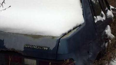 Thorold Playboy Mansion photo 5