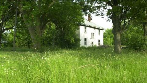 House on Hwy 20-Thorold - Thorold-Playboy-Mansion51.jpg