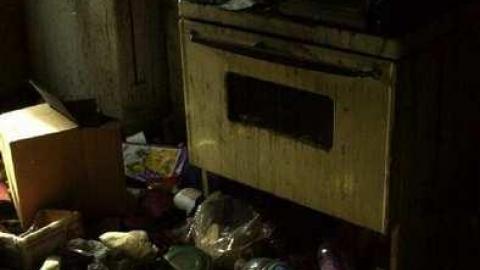 Thorold Playboy Mansion photo 3