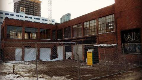 The Lonely Club - FUR-the-RICH-with-GREEN46.jpg