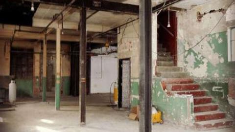 The Lonely Club - FUR-the-RICH-with-GREEN49.jpg