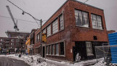 The Lonely Club - FUR-the-RICH-with-GREEN51.jpg